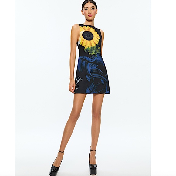 ALICE + OLIVIA Clyde A-Line Shift Dress - Picture 4 of 15